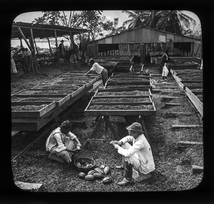image description