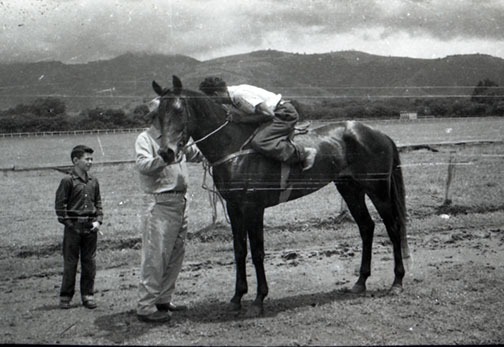 Caballo